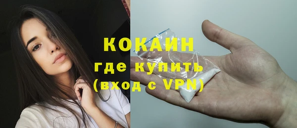 прущие грибы Богородицк