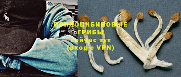 прущие грибы Богородицк