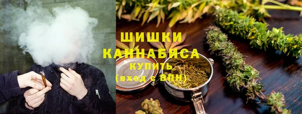 apvp Богданович
