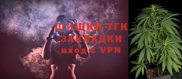 apvp Богданович