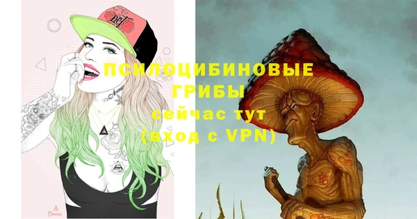 прущие грибы Богородицк