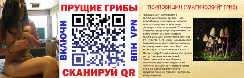 Купить  Северобайкальск  Галлюциногенные грибы прущие грибы 